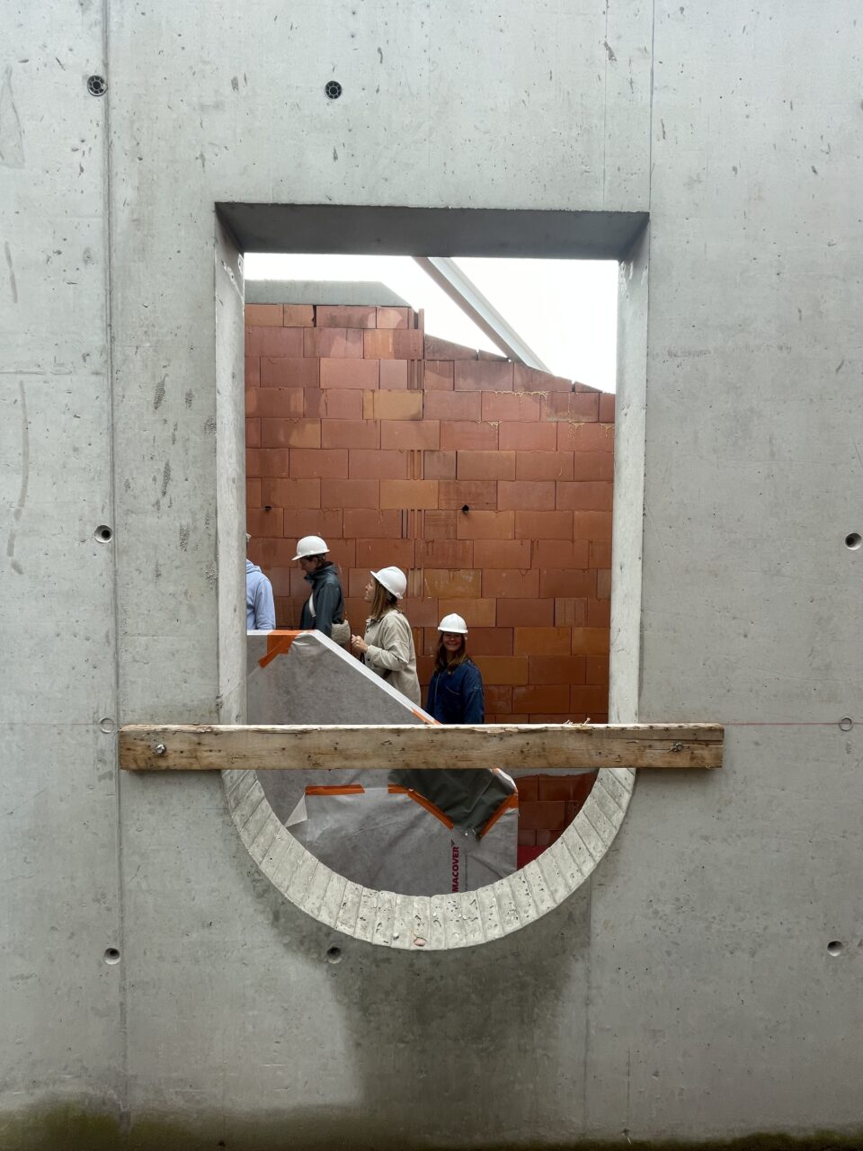 IMG 2554