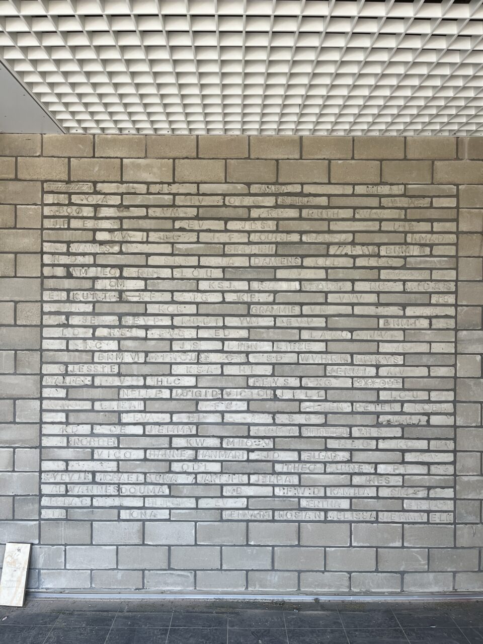 IMG 7177